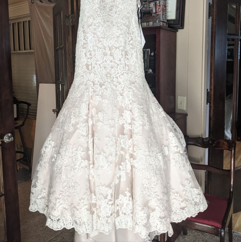 Strapless Lace Dramatic Train Wedding Dress Ivory Champagne Size 8 - Picture 4 of 12